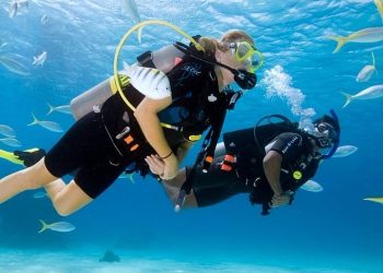 Beyond the Surface: Why More People Are Choosing to Learn Scuba Diving