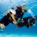 Beyond the Surface: Why More People Are Choosing to Learn Scuba Diving