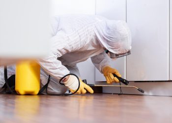 Striking Back Locally: Unveiling the Advantages of Utilizing Local Pest Control Services