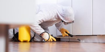 Striking Back Locally: Unveiling the Advantages of Utilizing Local Pest Control Services