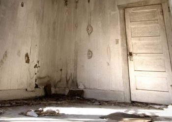 Navigating Disrepair: What to Expect from Housing Disrepair Solicitors Manchester