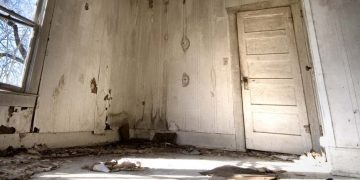 Navigating Disrepair: What to Expect from Housing Disrepair Solicitors Manchester