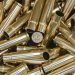 The Enduring Appeal of 35 Remington Brass: A Hunter’s Best Friend