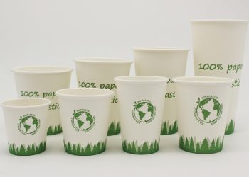 From Bamboo to Biodegradable: Exploring Alternatives to Plastic Drinkware