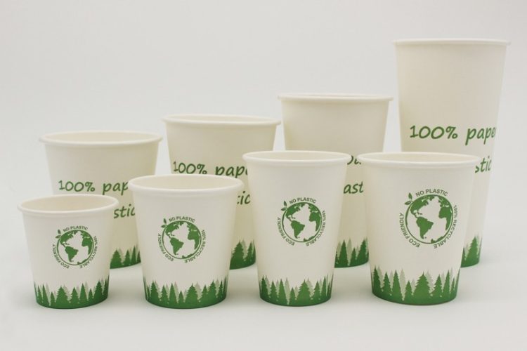 From Bamboo to Biodegradable: Exploring Alternatives to Plastic Drinkware