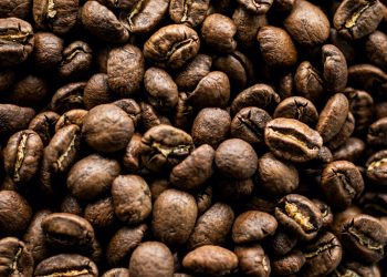 Roasting Relationships: How Wholesale Coffee Supply Chains Connect Farmers to Consumers