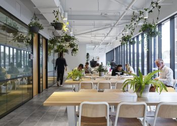 Startup Haven: Why Entrepreneurs are Flocking to Finsbury Park’s Co-working Hubs