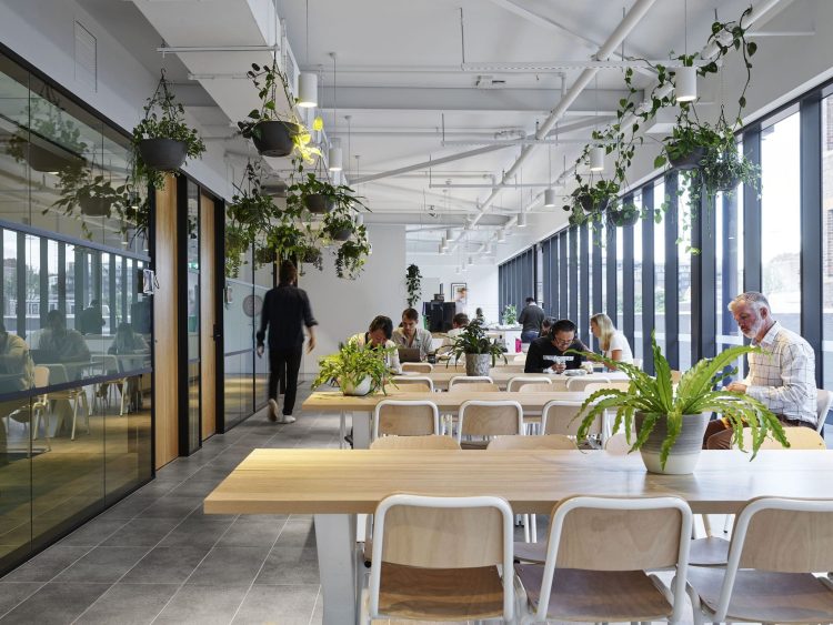 Startup Haven: Why Entrepreneurs are Flocking to Finsbury Park’s Co-working Hubs