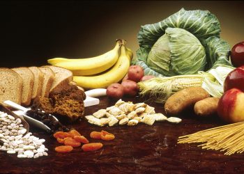 Beyond Digestion: The Surprising Benefits of Digestive Fibre