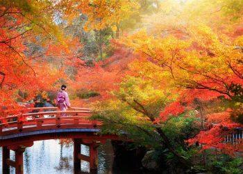 Unforgettable Festivals and Events During Japan Holidays