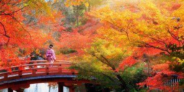 Unforgettable Festivals and Events During Japan Holidays