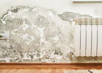 Understanding What to Expect from Using Housing Disrepair Solicitors London