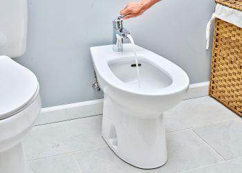 The Bidet Seat Sprayer: Revolutionizing Bathroom Hygiene and Comfort