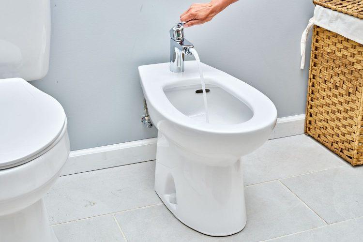 The Bidet Seat Sprayer: Revolutionizing Bathroom Hygiene and Comfort