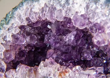 The Allure of Crystals and the Collectors Who Treasure Them