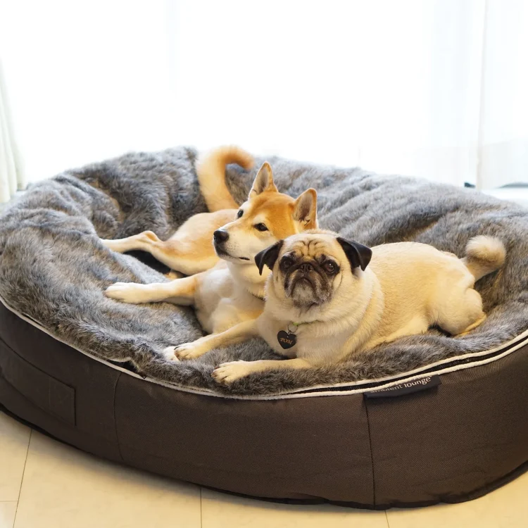 Choosing the Right Dog Beds for All Sizes: A Comprehensive Guide