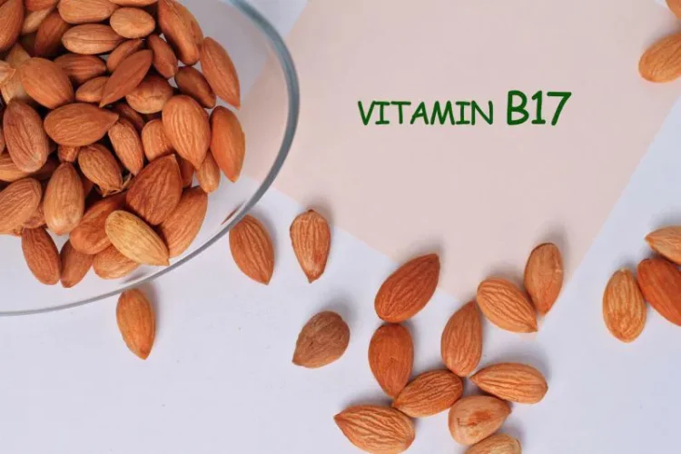 Unmasking Vitamin B17: Exploring its Extraction from Apricot Kernels