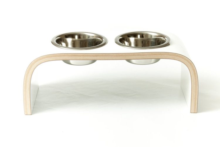 Exploring the Growing Trend of Raised Dog Feeders