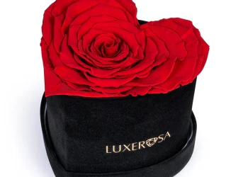 The Permanent Petal: Why Everlasting Roses Are the Future of Floral Gifting