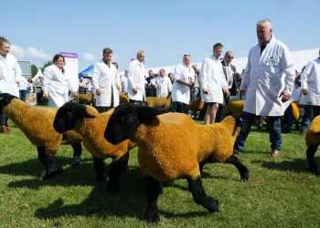 From Fields to Fun: Exploring the Magic of Farm Shows