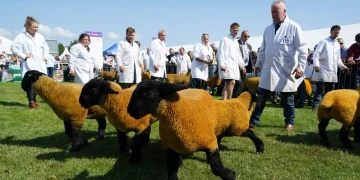 From Fields to Fun: Exploring the Magic of Farm Shows