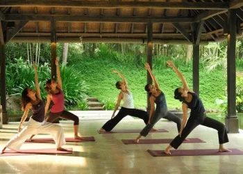 The Transformative Power of Yoga Retreats: Why You Should Consider Attending