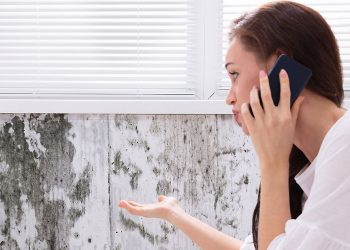 When Your Landlord Won’t Listen: How London Solicitors Handle Property Disrepair