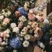 Botanical Artistry: How a Bespoke Florist Transforms Your Vision for Wedding Flowers in Wiltshire