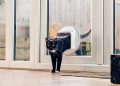 The Practical Guide to Fitting a Cat Flap in a Glass Door