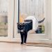 The Practical Guide to Fitting a Cat Flap in a Glass Door