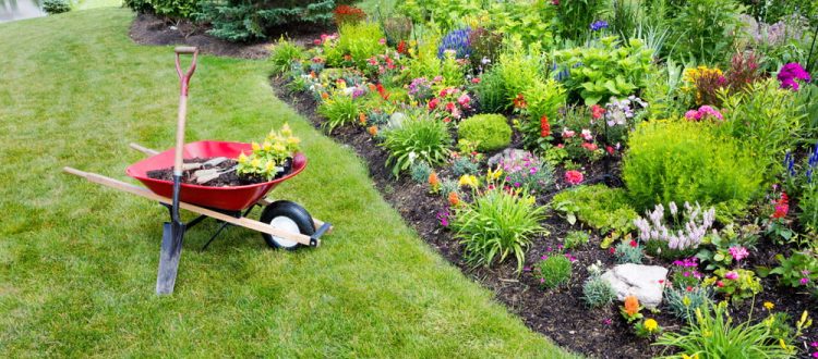 The Benefits of Hiring Gardeners in Tunbridge Wells for a Beautiful Outdoor Space