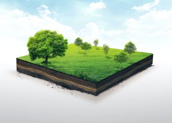 Preparing for a Land Valuation: A Guide for Landowners
