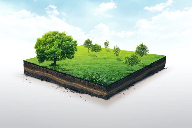 Preparing for a Land Valuation: A Guide for Landowners